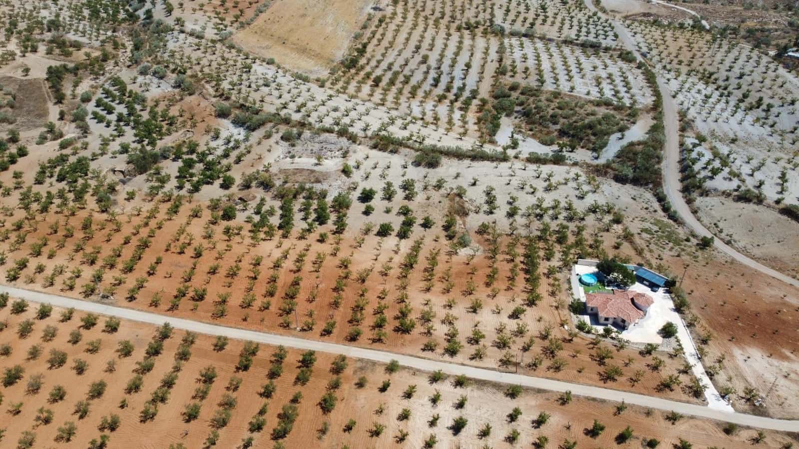 3 slaapkamer Villa te koop in Oria - € 245.000 (Ref: 9202560)