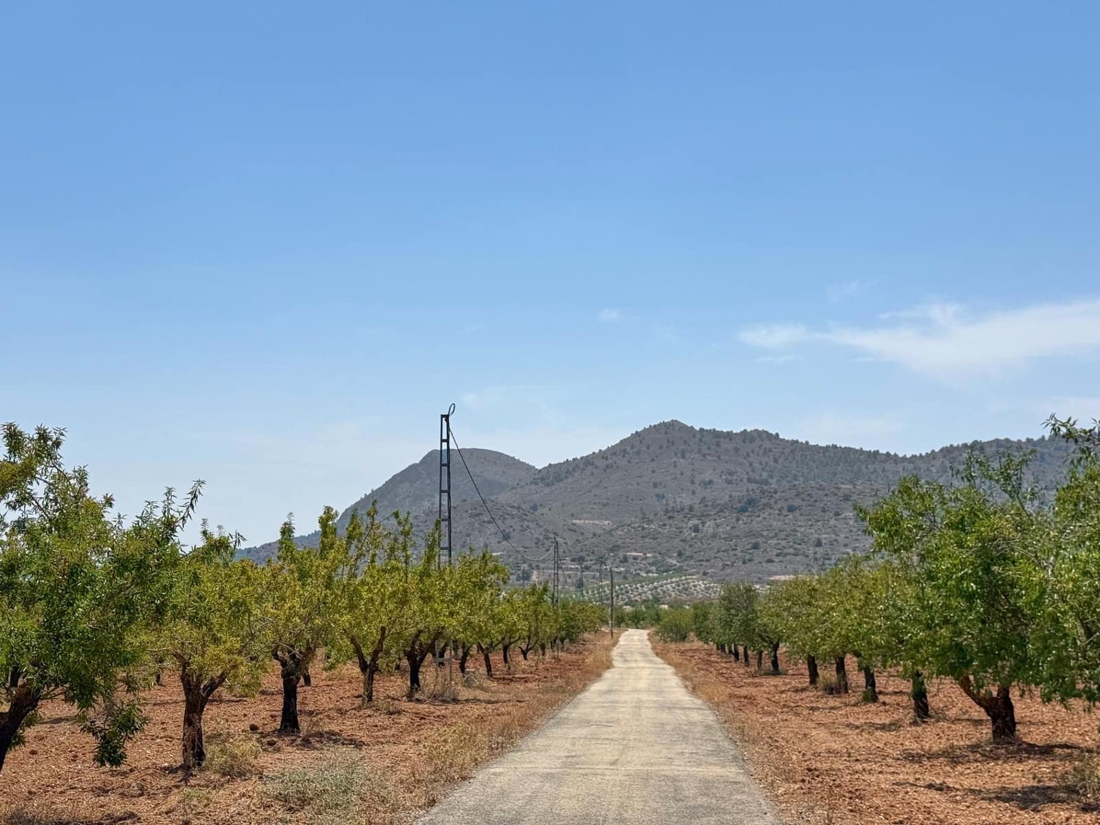 3 slaapkamer Villa te koop in Oria - € 245.000 (Ref: 9202560)