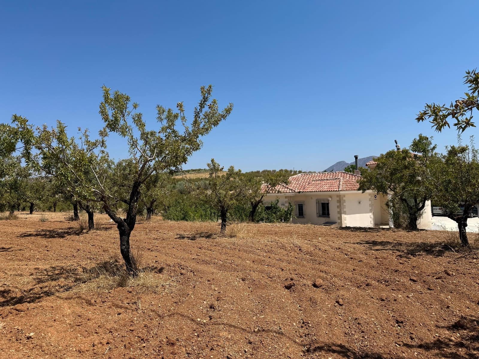 3 slaapkamer Villa te koop in Oria - € 245.000 (Ref: 9202560)