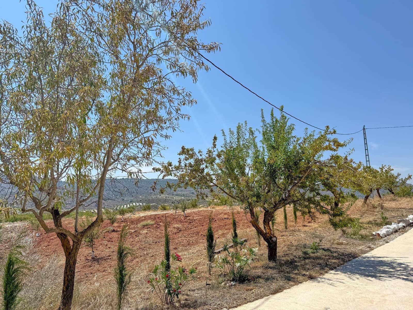 3 slaapkamer Villa te koop in Oria - € 245.000 (Ref: 9202560)