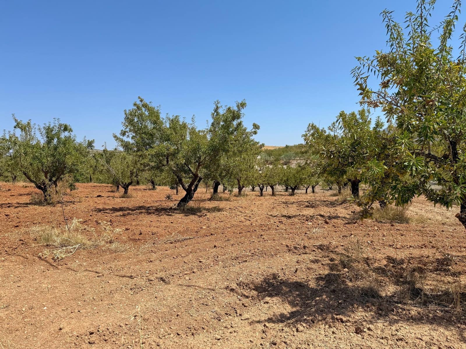 3 slaapkamer Villa te koop in Oria - € 245.000 (Ref: 9202560)