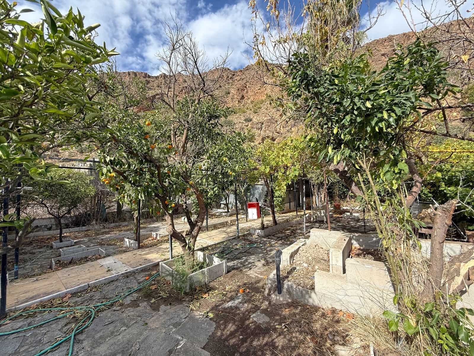 4 camera da letto Villa in vendita in Macael con piscina - 120.000 € (Rif: 9411163)