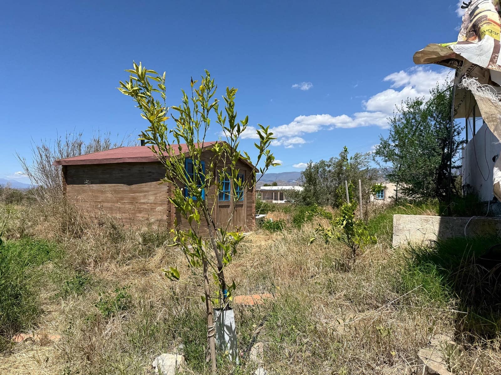 5 bedroom Finca/Country House for sale in Tabernas with garage - € 299,950 (Ref: 9918629)