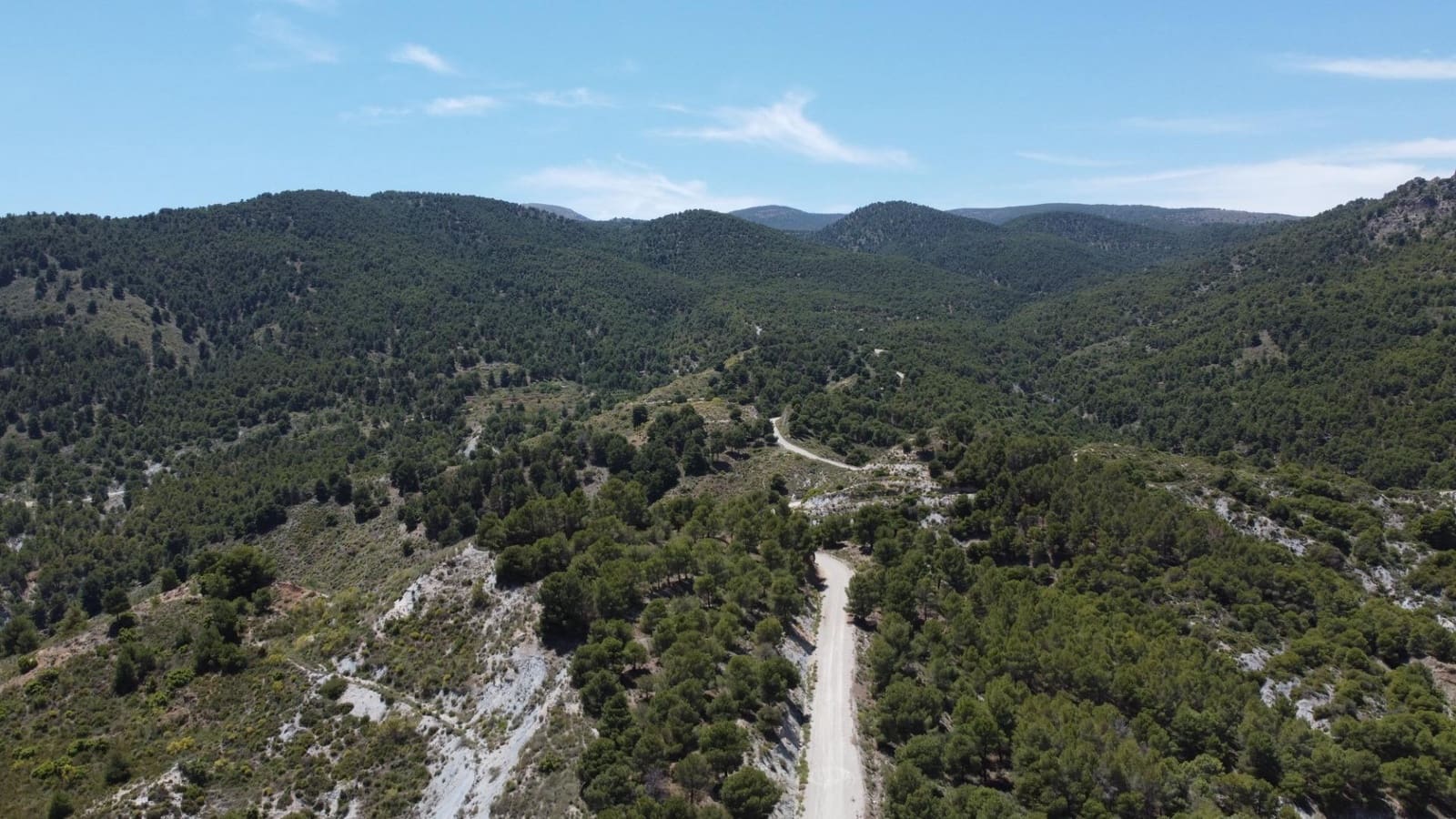 Terre non Aménagée à vendre à Bayarque - 250 000 € (Ref: 9918631)