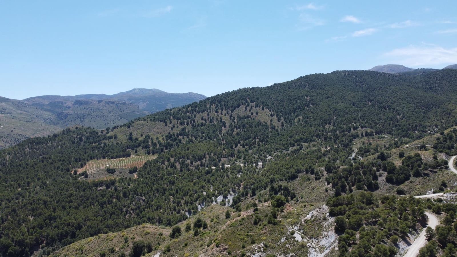 Terre non Aménagée à vendre à Bayarque - 250 000 € (Ref: 9918631)