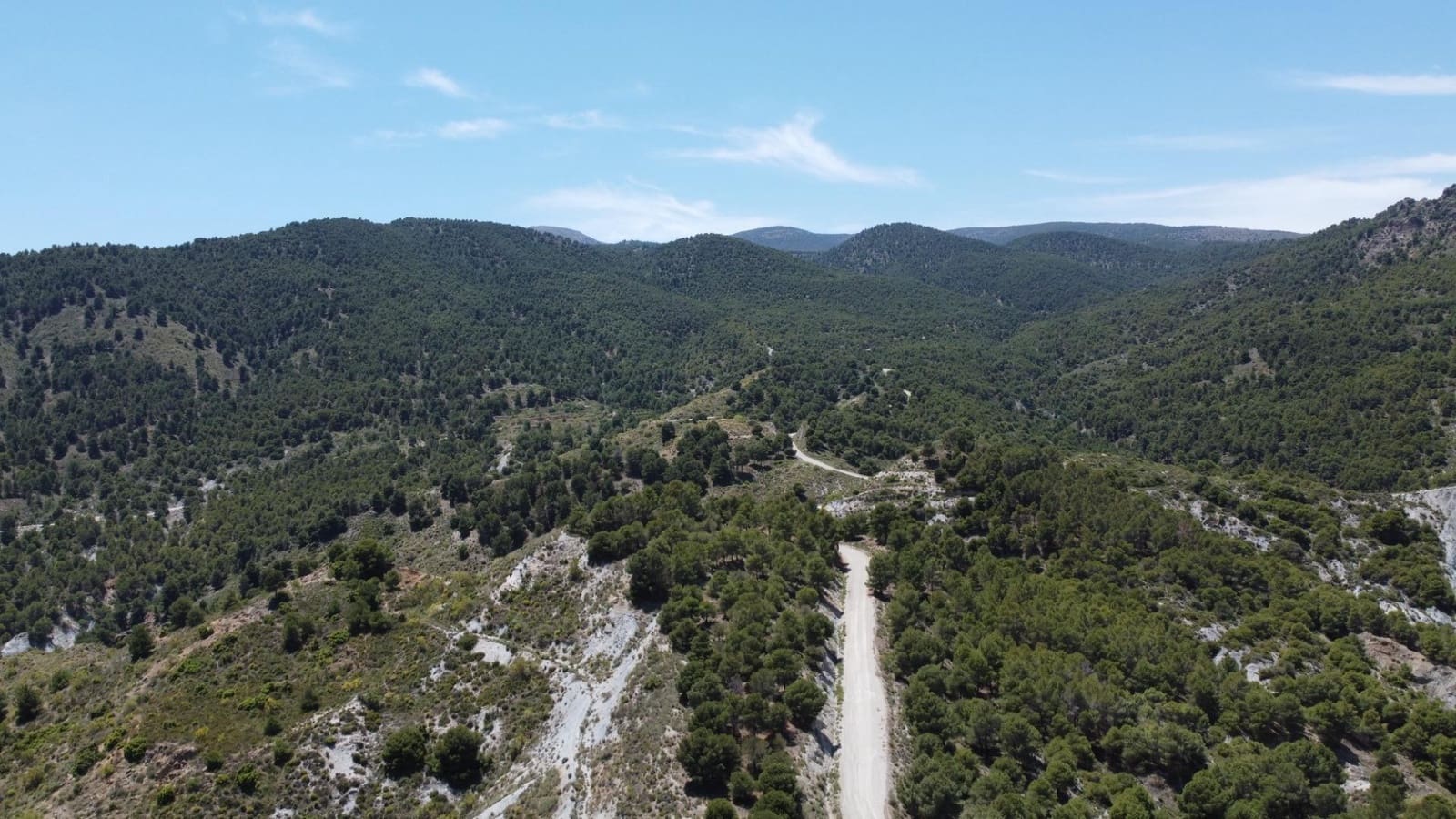 Terre non Aménagée à vendre à Bayarque - 250 000 € (Ref: 9918631)