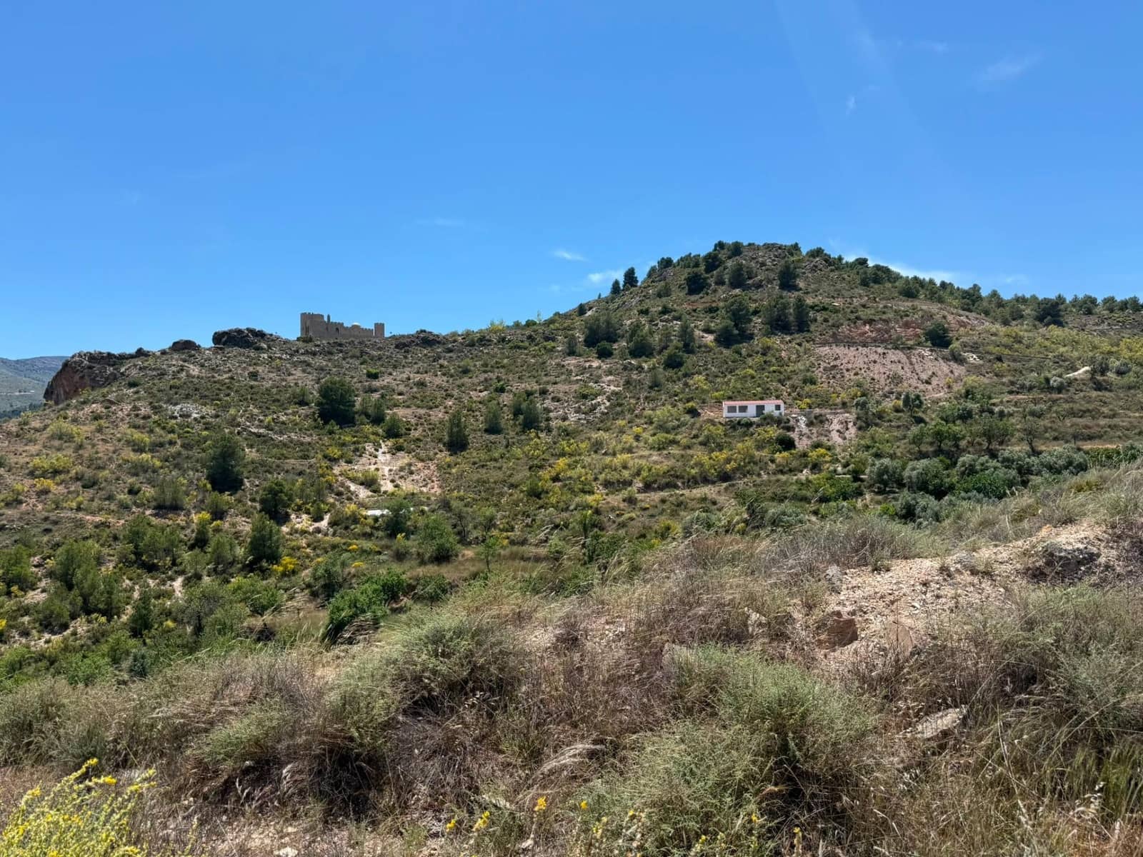 Terre non Aménagée à vendre à Bayarque - 250 000 € (Ref: 9918631)