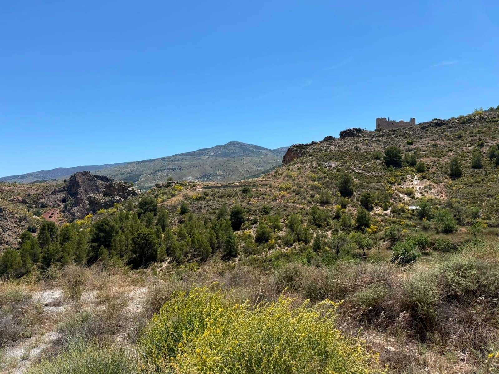 Terre non Aménagée à vendre à Bayarque - 250 000 € (Ref: 9918631)