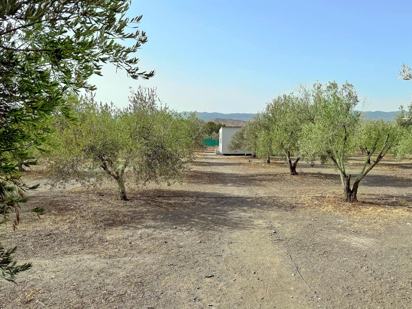4 soverom Finca/Herregård til salgs i Tabernas med svømmebasseng garasje - € 299 900 (Ref: 9986968)