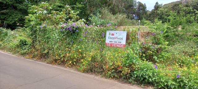 Tomt till salu i Tacoronte - 200 000 € (Ref: 9234870)