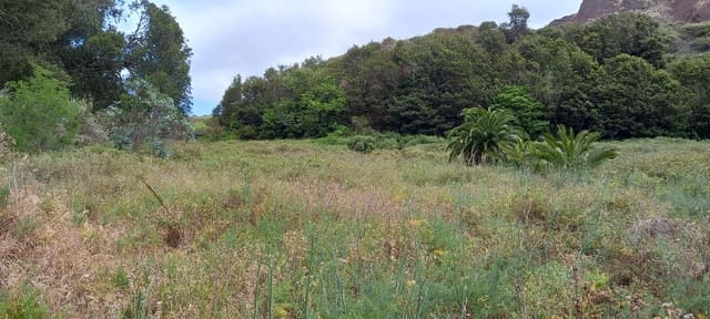 Tomt till salu i Tacoronte - 200 000 € (Ref: 9234870)