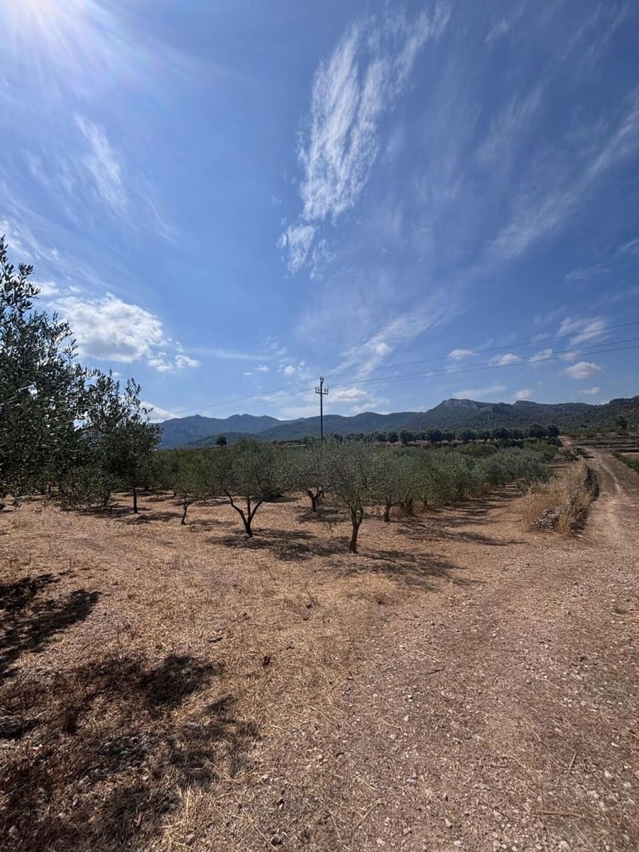 Terreno/Finca Rústica en Tivissa en venta - 65.000 € (Ref: 10002547)