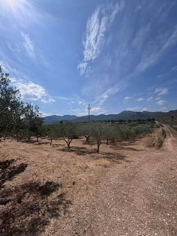 Undeveloped Land for sale in Tivissa - € 65,000 (Ref: 10002547)