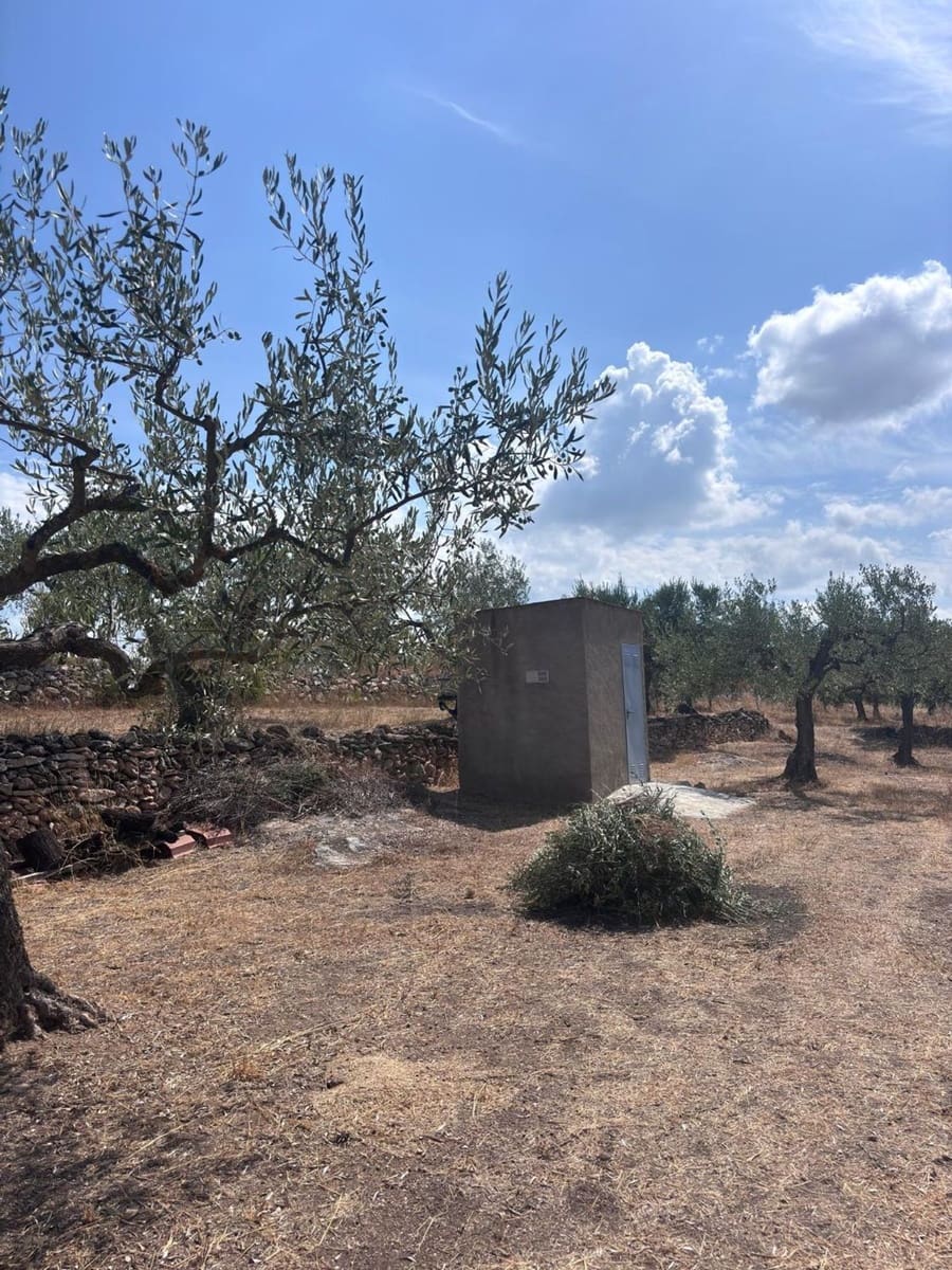 Terreno/Finca Rústica en Tivissa en venta - 65.000 € (Ref: 10002547)
