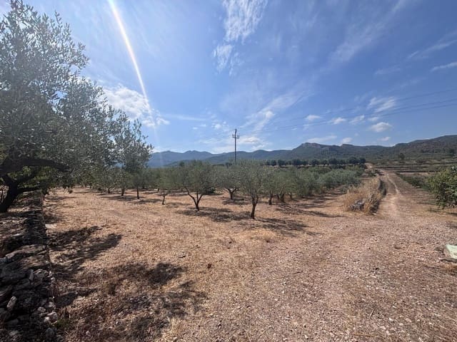 Undeveloped Land for sale in Tivissa - € 65,000 (Ref: 10002547)