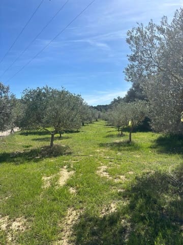 Mark till salu i Flix - 8 000 € (Ref: 10057931)