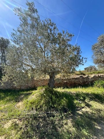 Mark till salu i Flix - 8 000 € (Ref: 10057931)