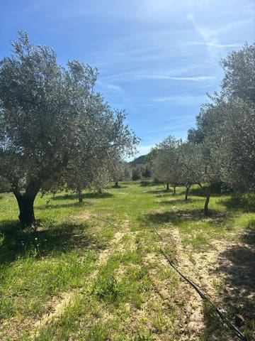 Mark till salu i Flix - 8 000 € (Ref: 10057931)