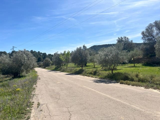 Mark till salu i Flix - 8 000 € (Ref: 10057931)