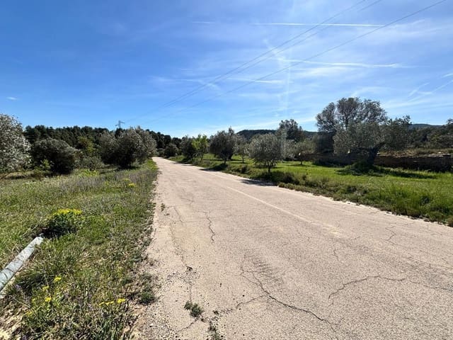 Mark till salu i Flix - 8 000 € (Ref: 10057931)
