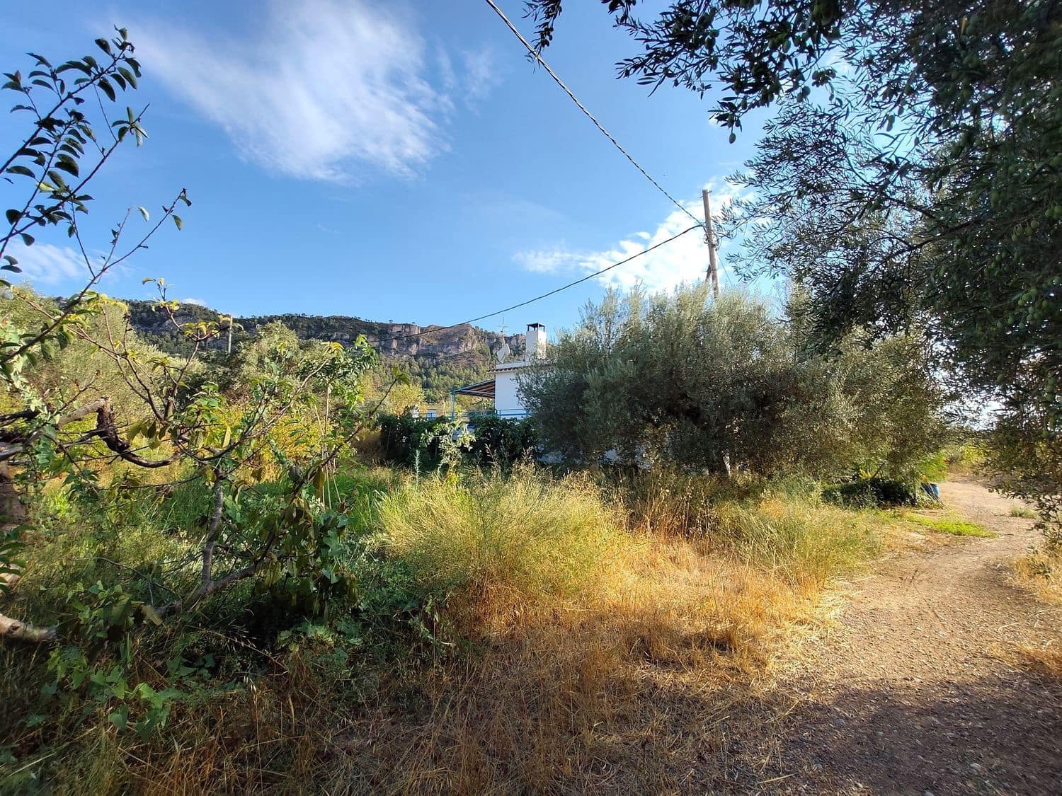 2 bedroom Finca/Country House for sale in La Torre de l'Espanyol with pool garage - € 250,000 (Ref: 10158922)