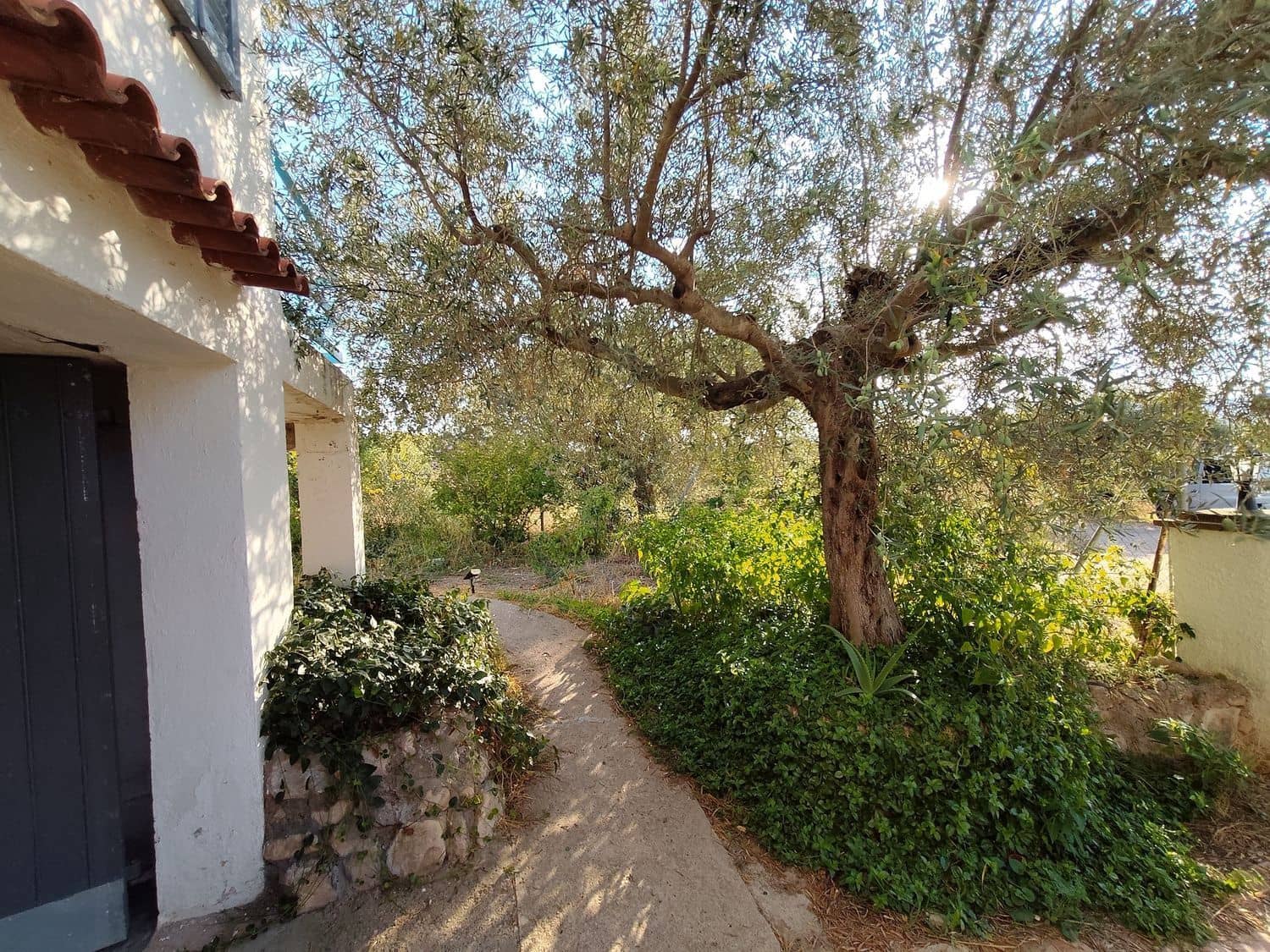 2 bedroom Finca/Country House for sale in La Torre de l'Espanyol with pool garage - € 250,000 (Ref: 10158922)