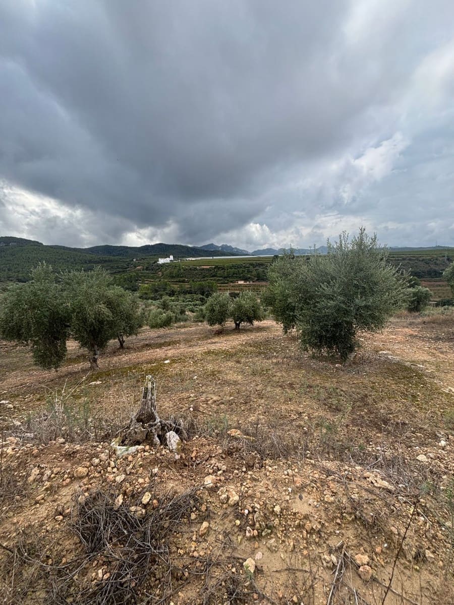 Mark till salu i La Serra d'Almos - 49 000 € (Ref: 10184131)