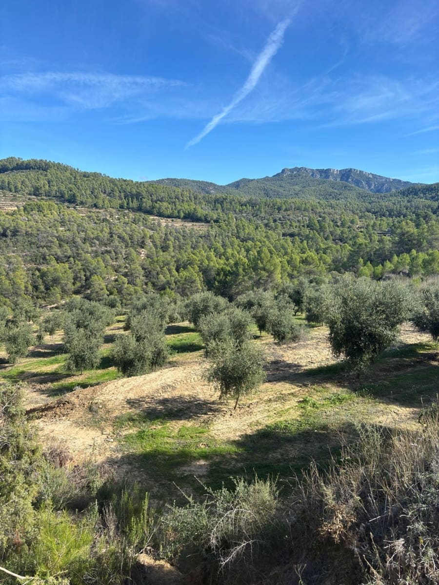 Mark till salu i La Serra d'Almos - 49 000 € (Ref: 10184131)