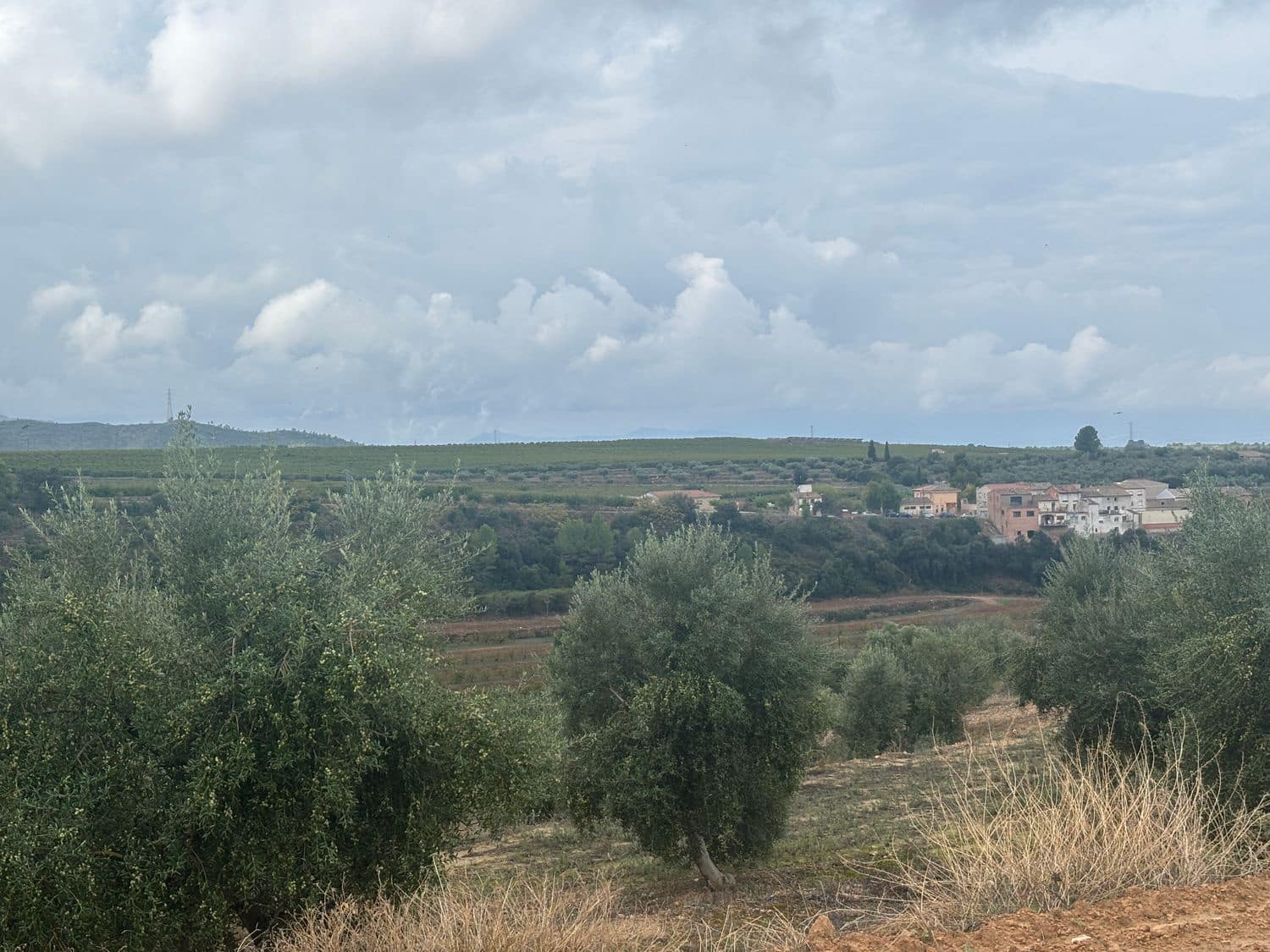Mark till salu i La Serra d'Almos - 49 000 € (Ref: 10184131)
