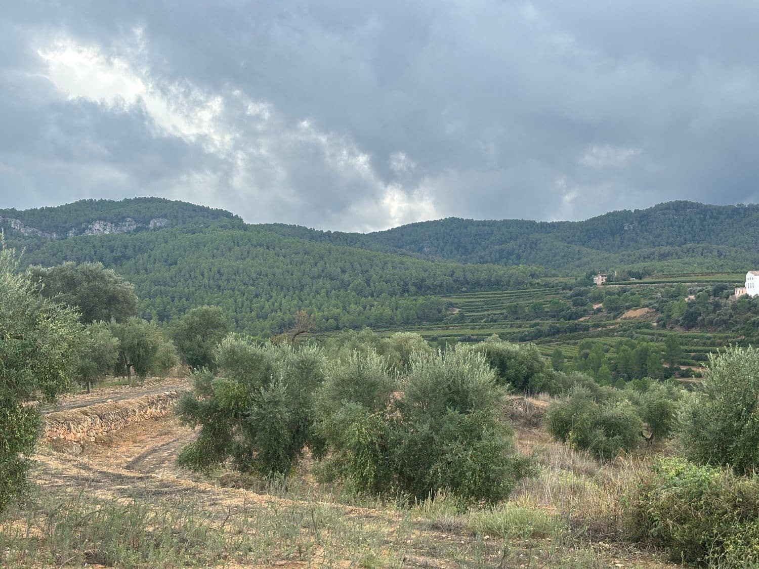 Mark till salu i La Serra d'Almos - 49 000 € (Ref: 10184131)