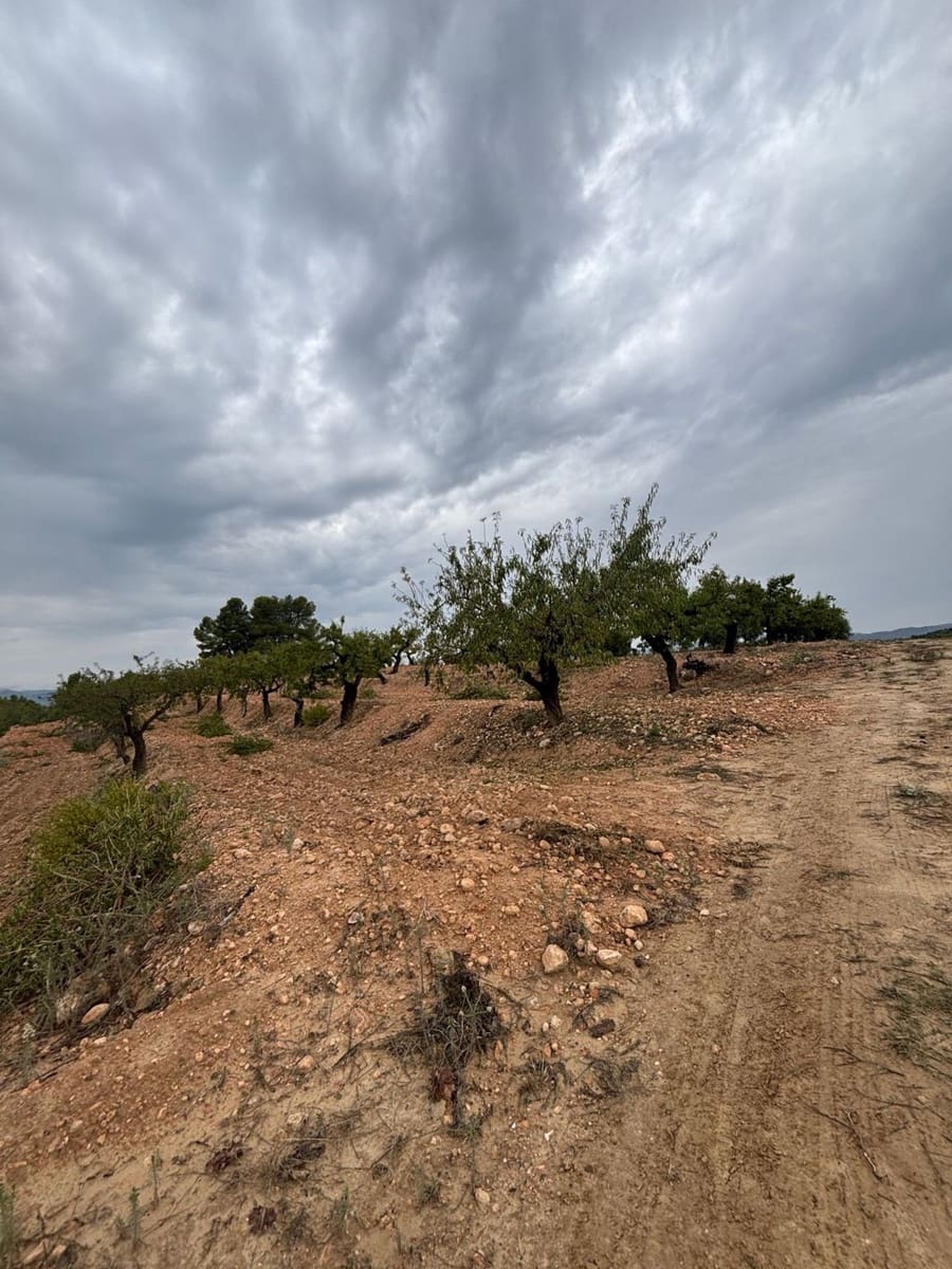 Mark till salu i La Serra d'Almos - 49 000 € (Ref: 10184131)