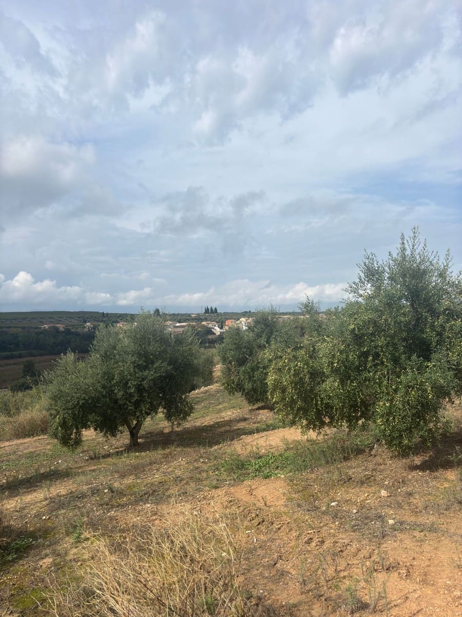 Mark till salu i La Serra d'Almos - 49 000 € (Ref: 10184131)