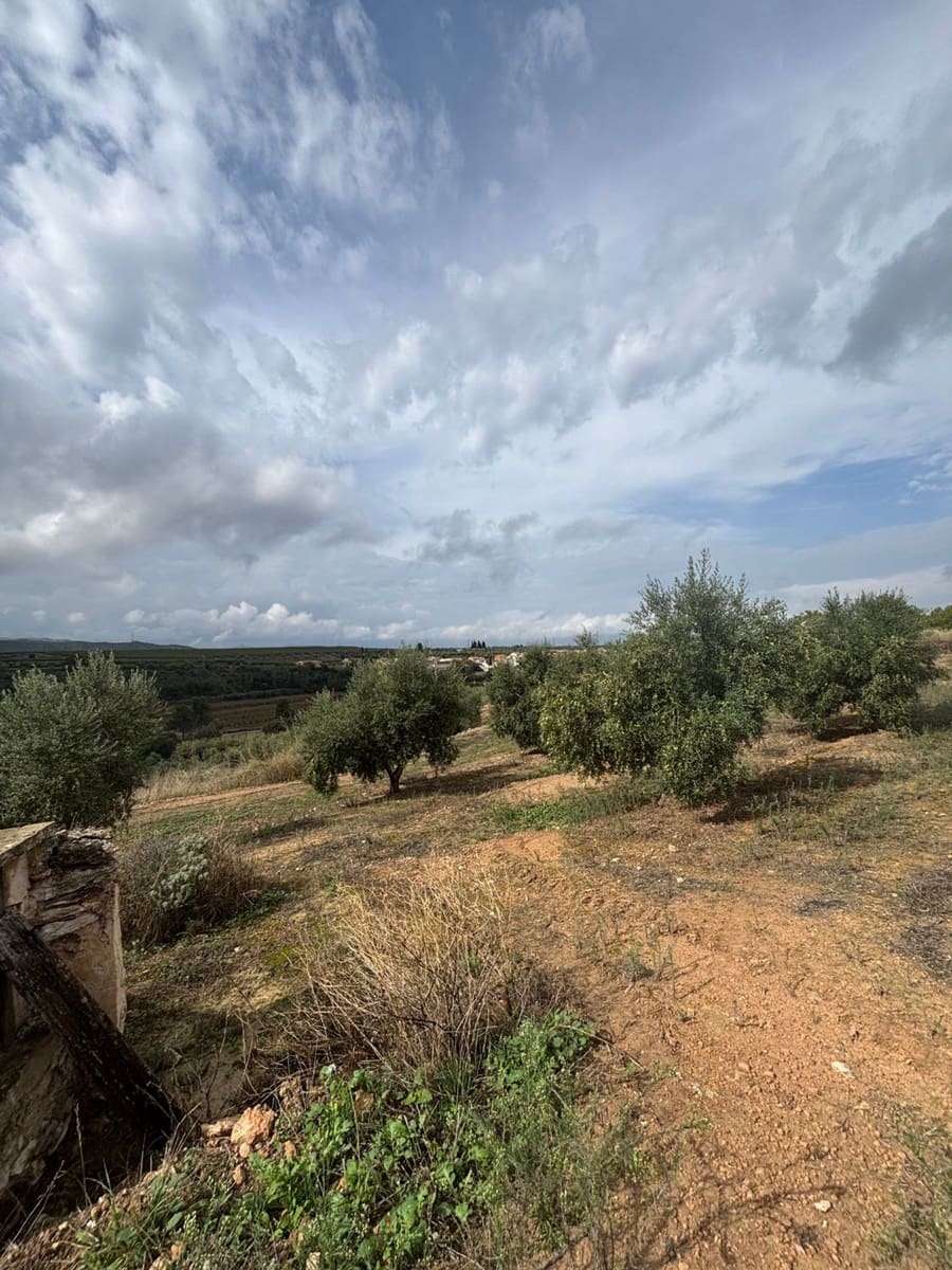 Mark till salu i La Serra d'Almos - 49 000 € (Ref: 10184131)