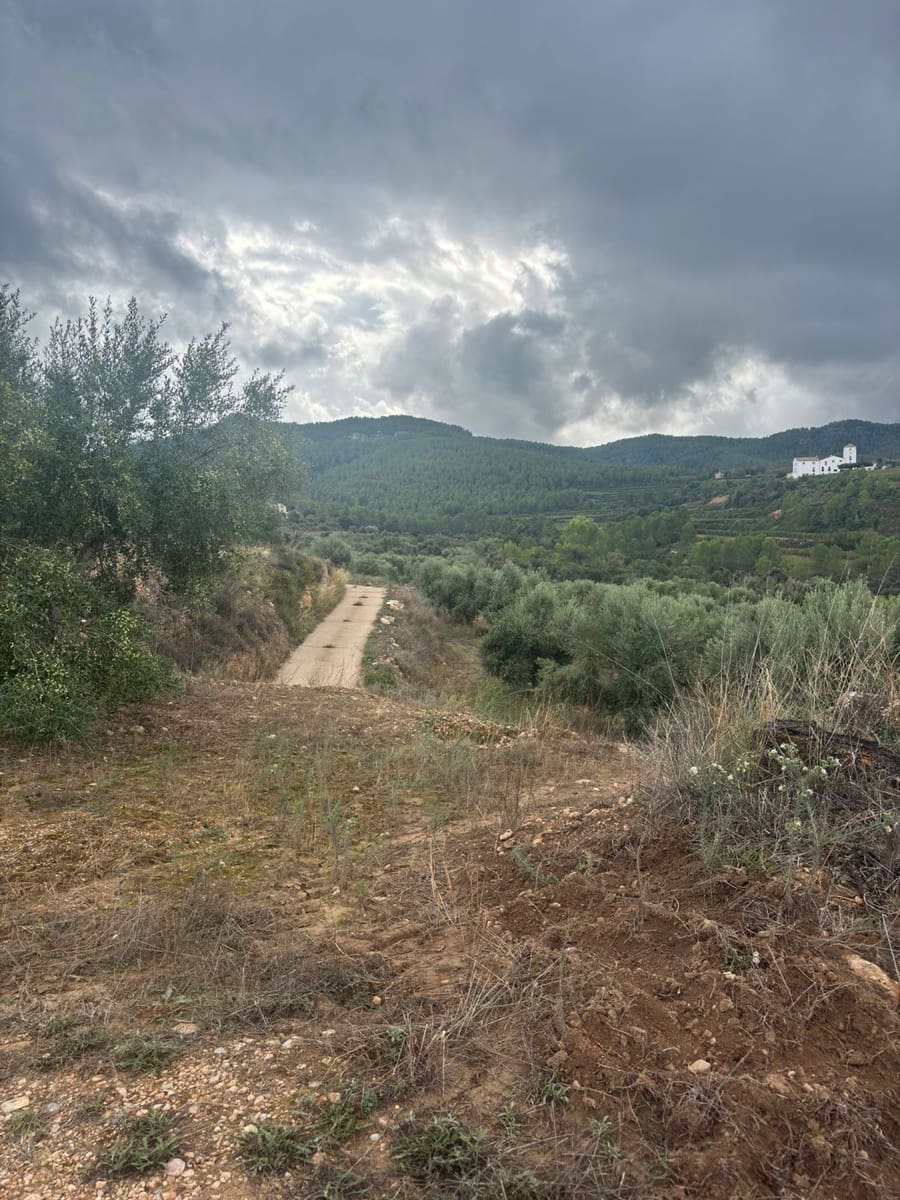 Mark till salu i La Serra d'Almos - 49 000 € (Ref: 10184131)