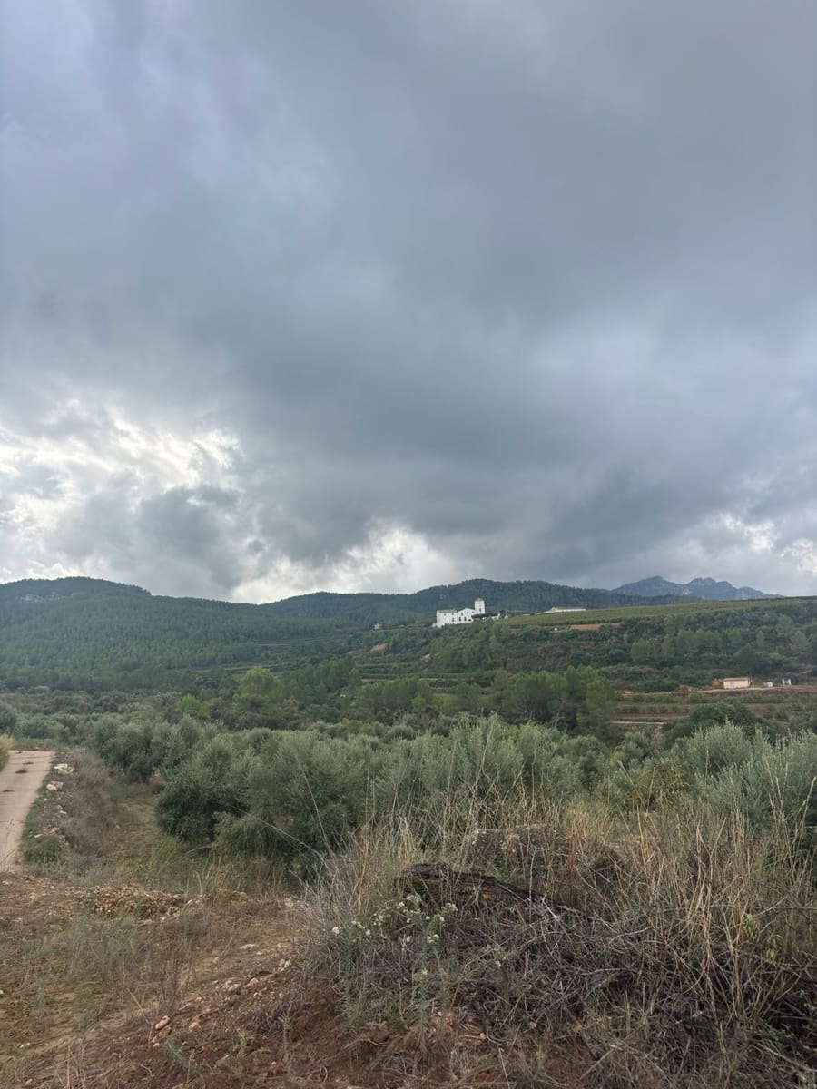 Mark till salu i La Serra d'Almos - 49 000 € (Ref: 10184131)