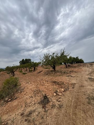 Ubebygd land til salgs i La Serra d'Almos, Tivissa - € 49 000 (Ref: 10184131)