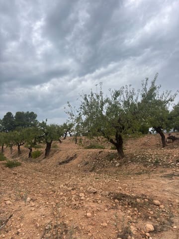 Ubebygd land til salgs i La Serra d'Almos, Tivissa - € 49 000 (Ref: 10184131)
