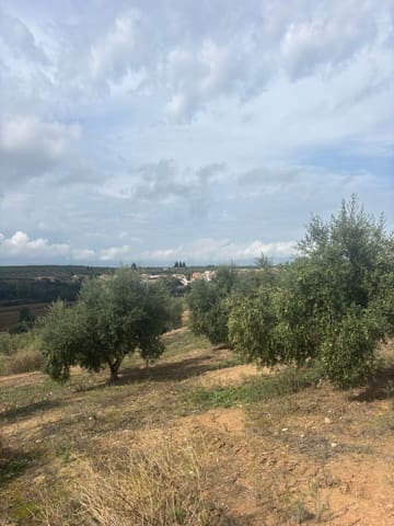 Ubebygd land til salgs i La Serra d'Almos, Tivissa - € 49 000 (Ref: 10184131)