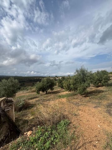 Ubebygd land til salgs i La Serra d'Almos, Tivissa - € 49 000 (Ref: 10184131)
