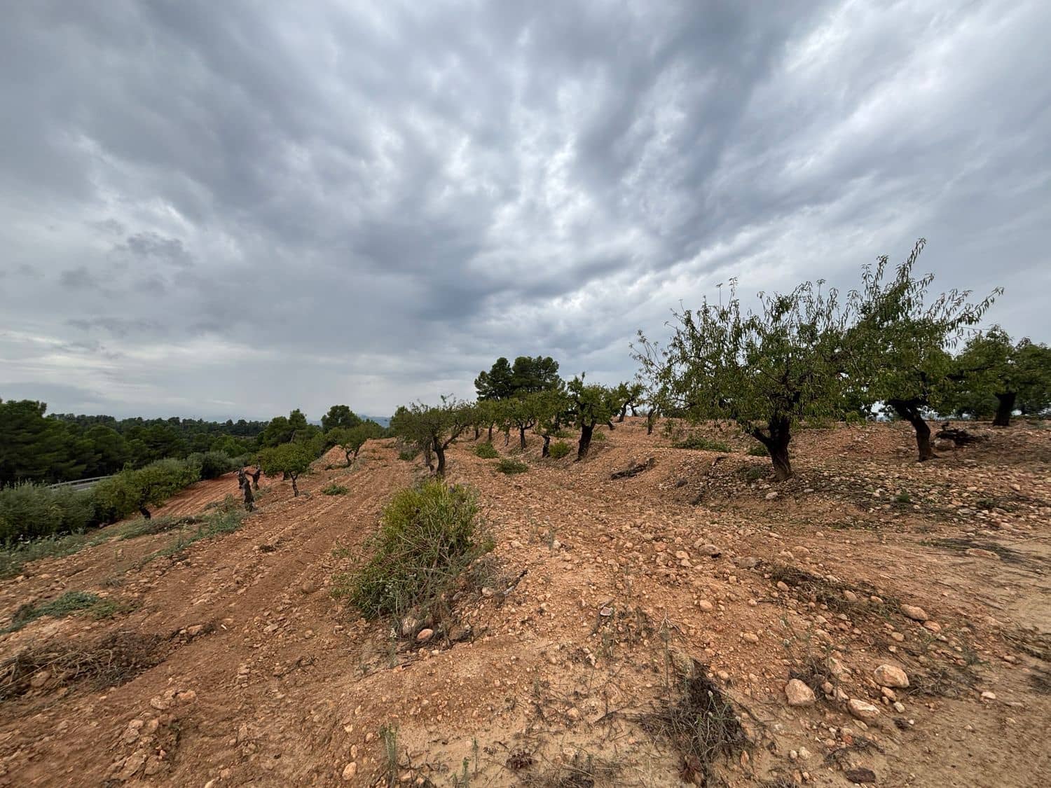 Mark till salu i La Serra d'Almos - 49 000 € (Ref: 10184131)