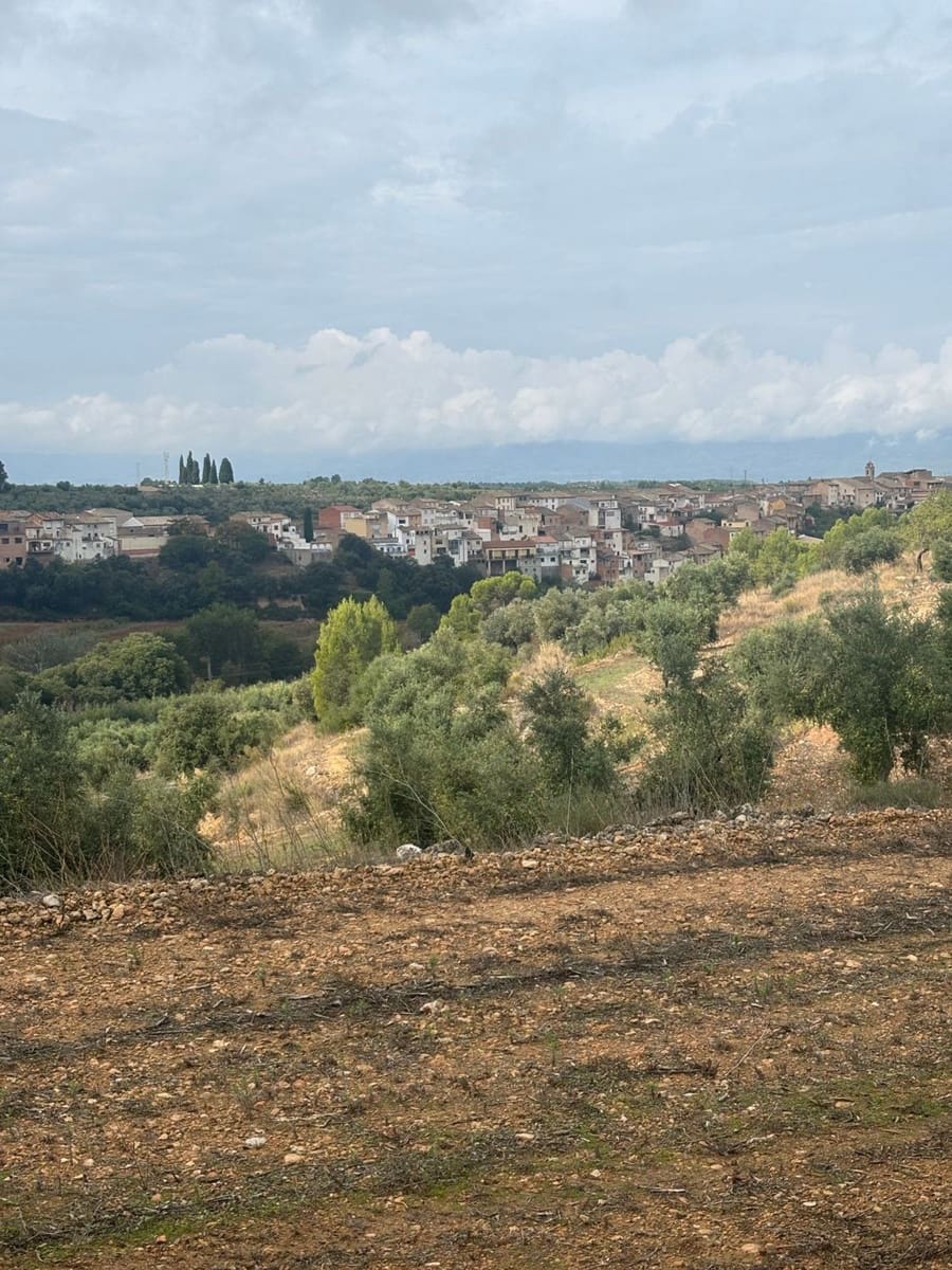 Mark till salu i La Serra d'Almos - 49 000 € (Ref: 10184131)