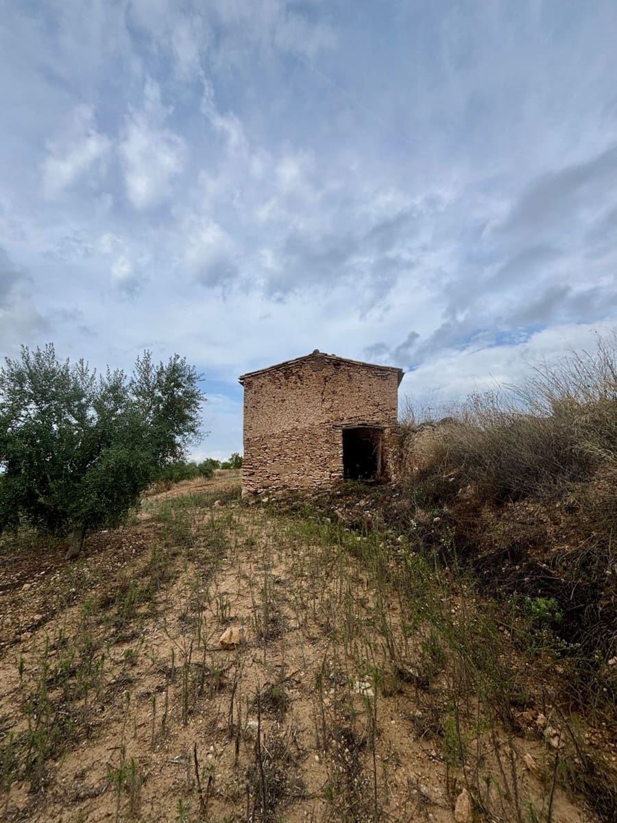 Mark till salu i La Serra d'Almos - 49 000 € (Ref: 10184131)
