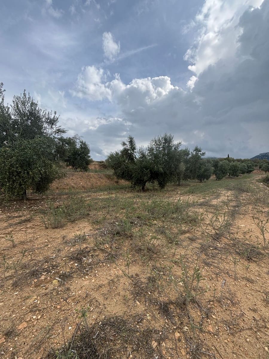 Mark till salu i La Serra d'Almos - 49 000 € (Ref: 10184131)