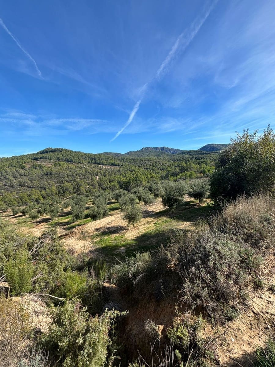 Mark till salu i La Serra d'Almos - 49 000 € (Ref: 10184131)