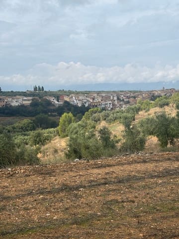 Ubebygd land til salgs i La Serra d'Almos, Tivissa - € 49 000 (Ref: 10184131)