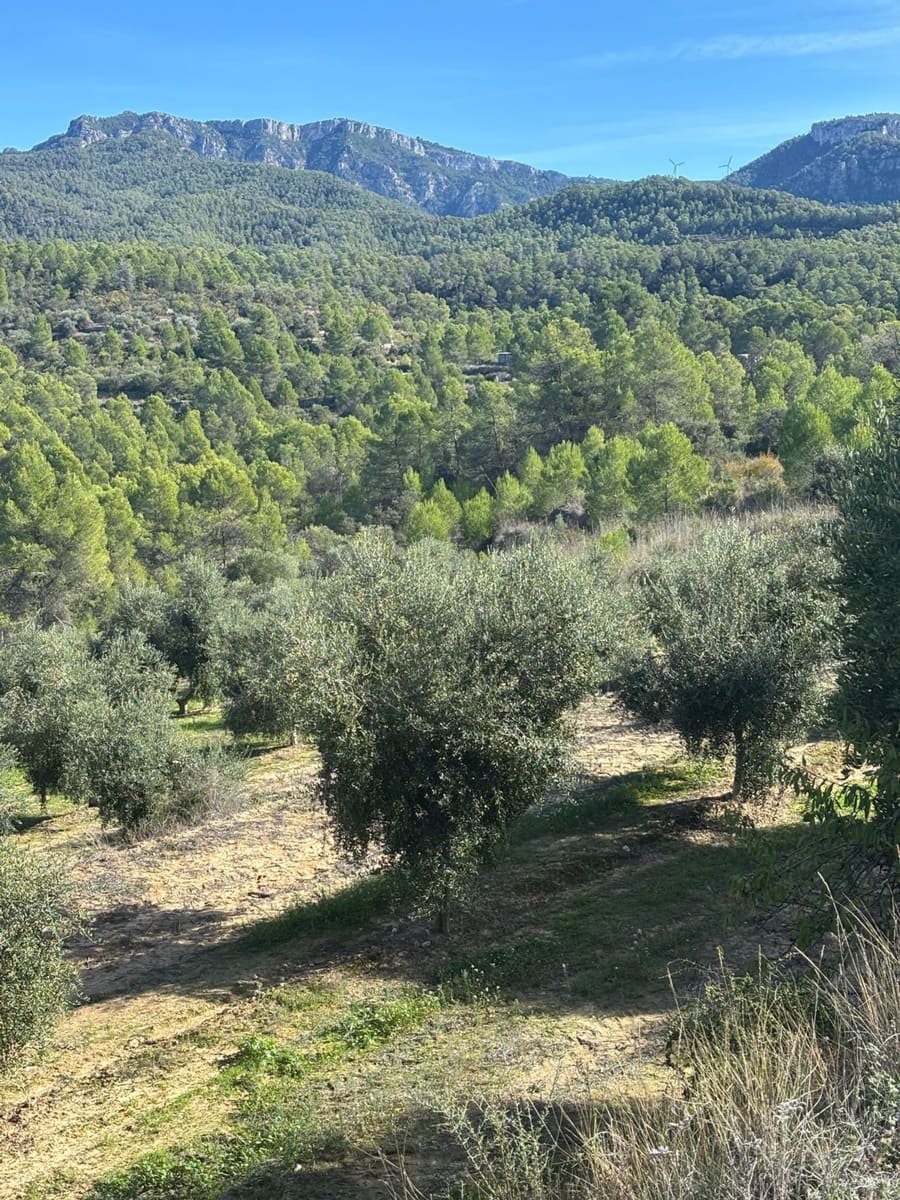 Mark till salu i La Serra d'Almos - 49 000 € (Ref: 10184131)