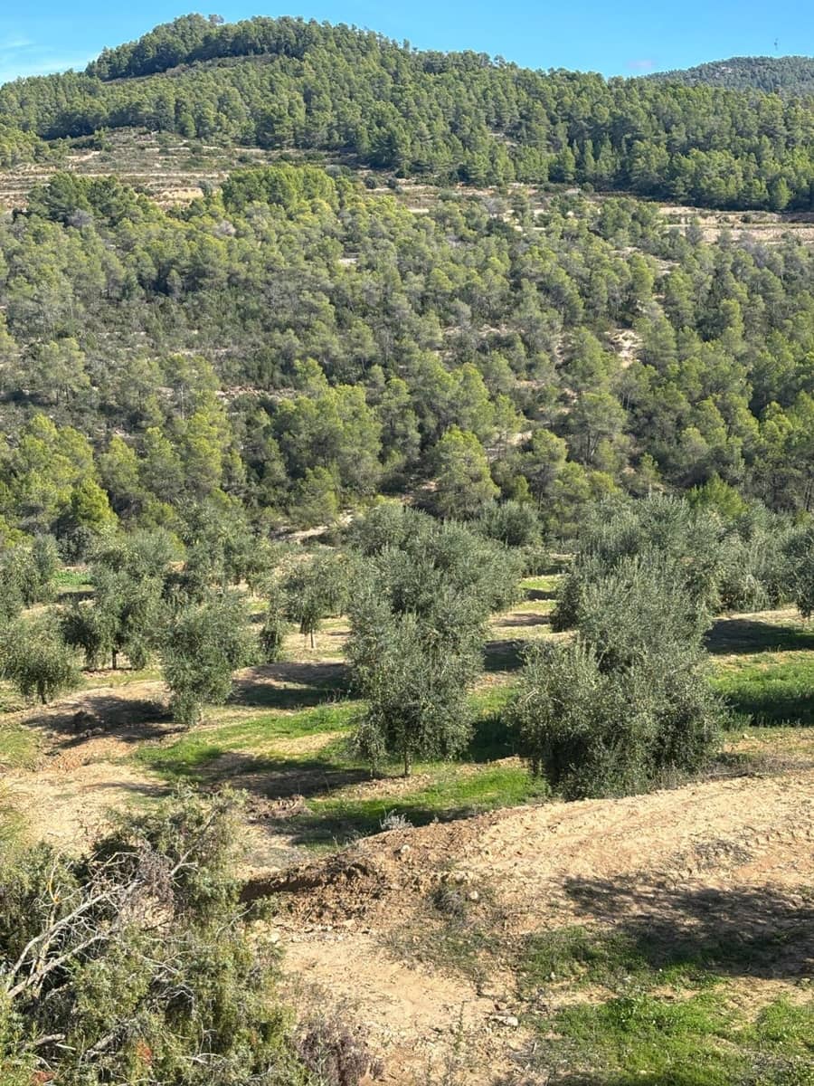 Mark till salu i La Serra d'Almos - 49 000 € (Ref: 10184131)