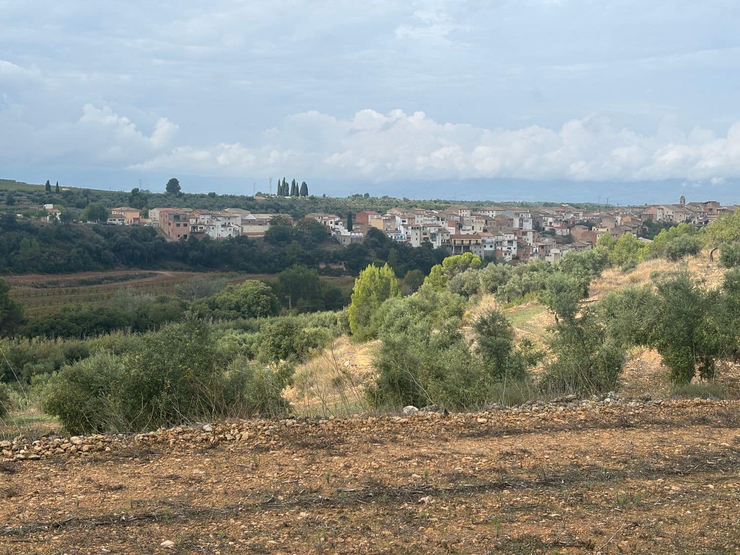 Mark till salu i La Serra d'Almos - 49 000 € (Ref: 10184131)