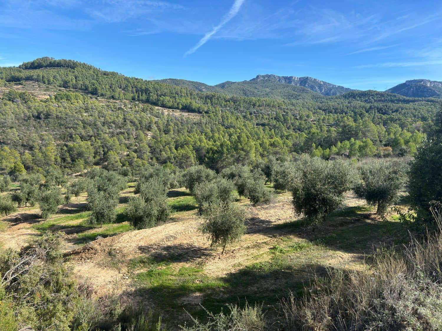 Mark till salu i La Serra d'Almos - 49 000 € (Ref: 10184131)