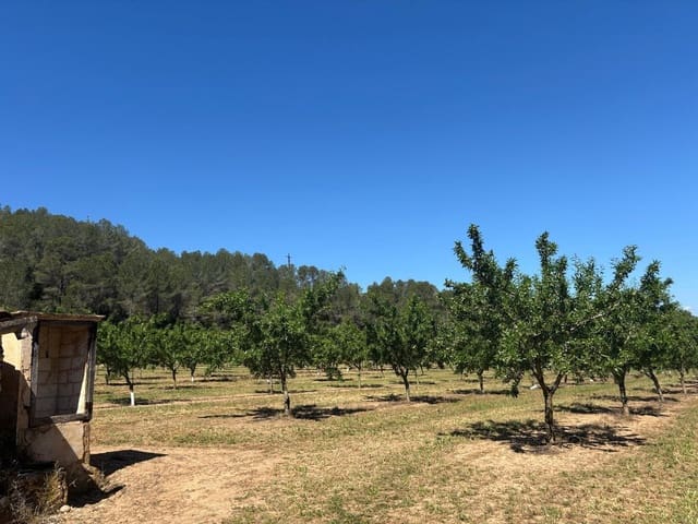 Grunde uden byggetilladelser til salg i Ginestar - € 40.000 (Ref: 8573795)